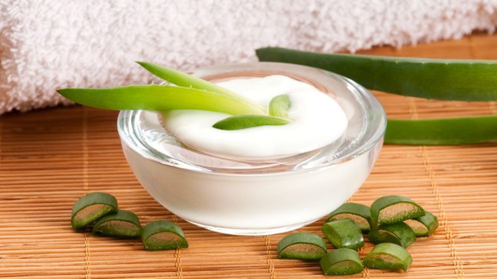 Como se hace crema con aloe vera