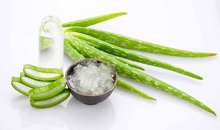 Aloe vera sirve para las manchas dela cara