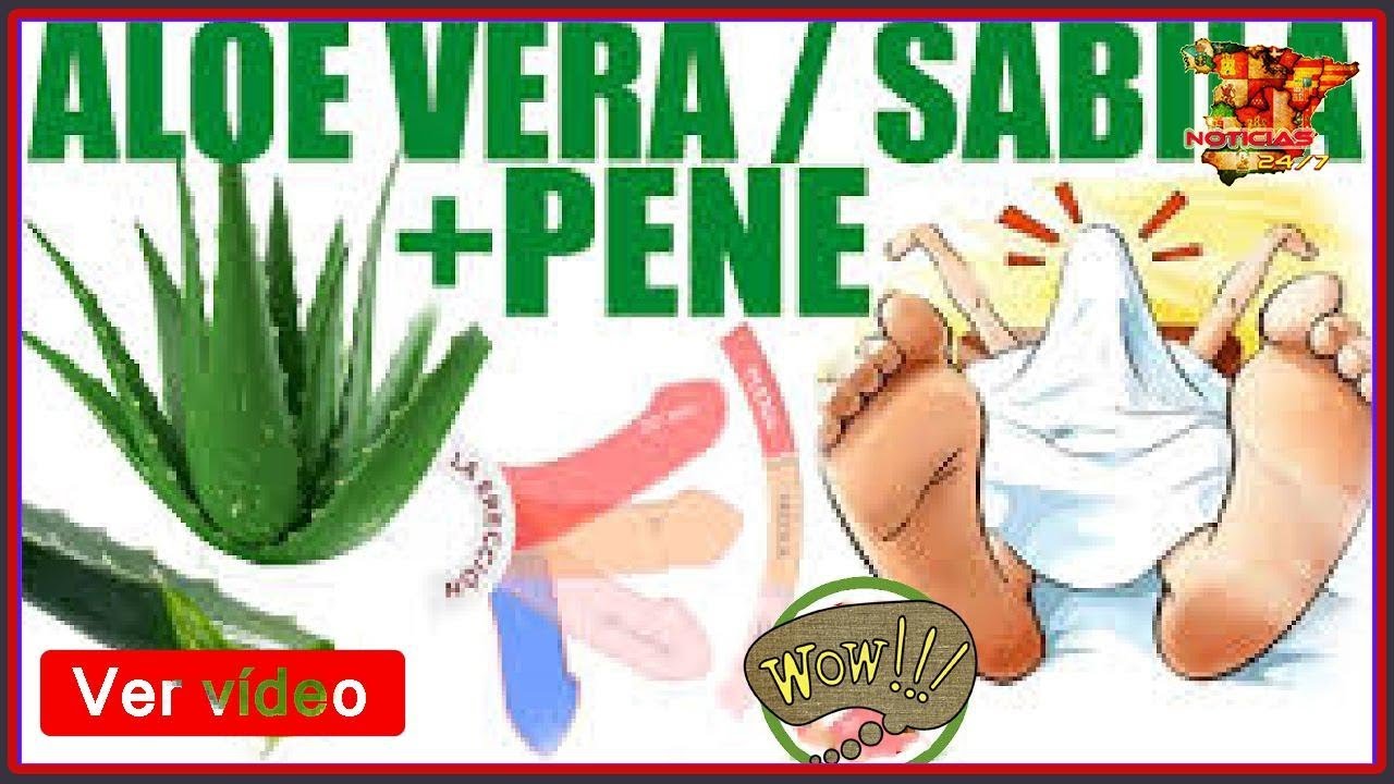Aloe vera para el prepucio