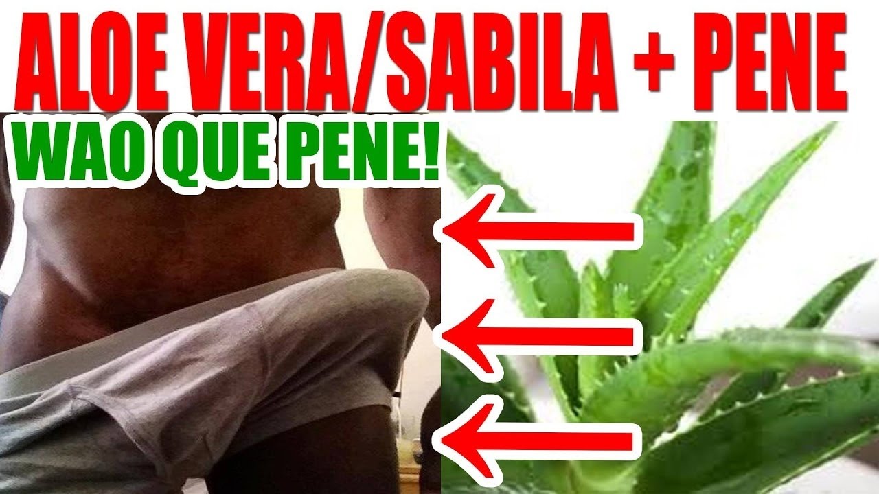Aloe vera agranda el miembro