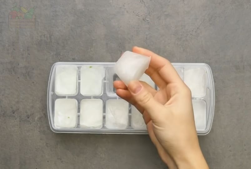 Como conservar el gel de aloe vera natural