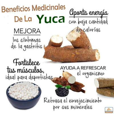 Yuca frita calorias
