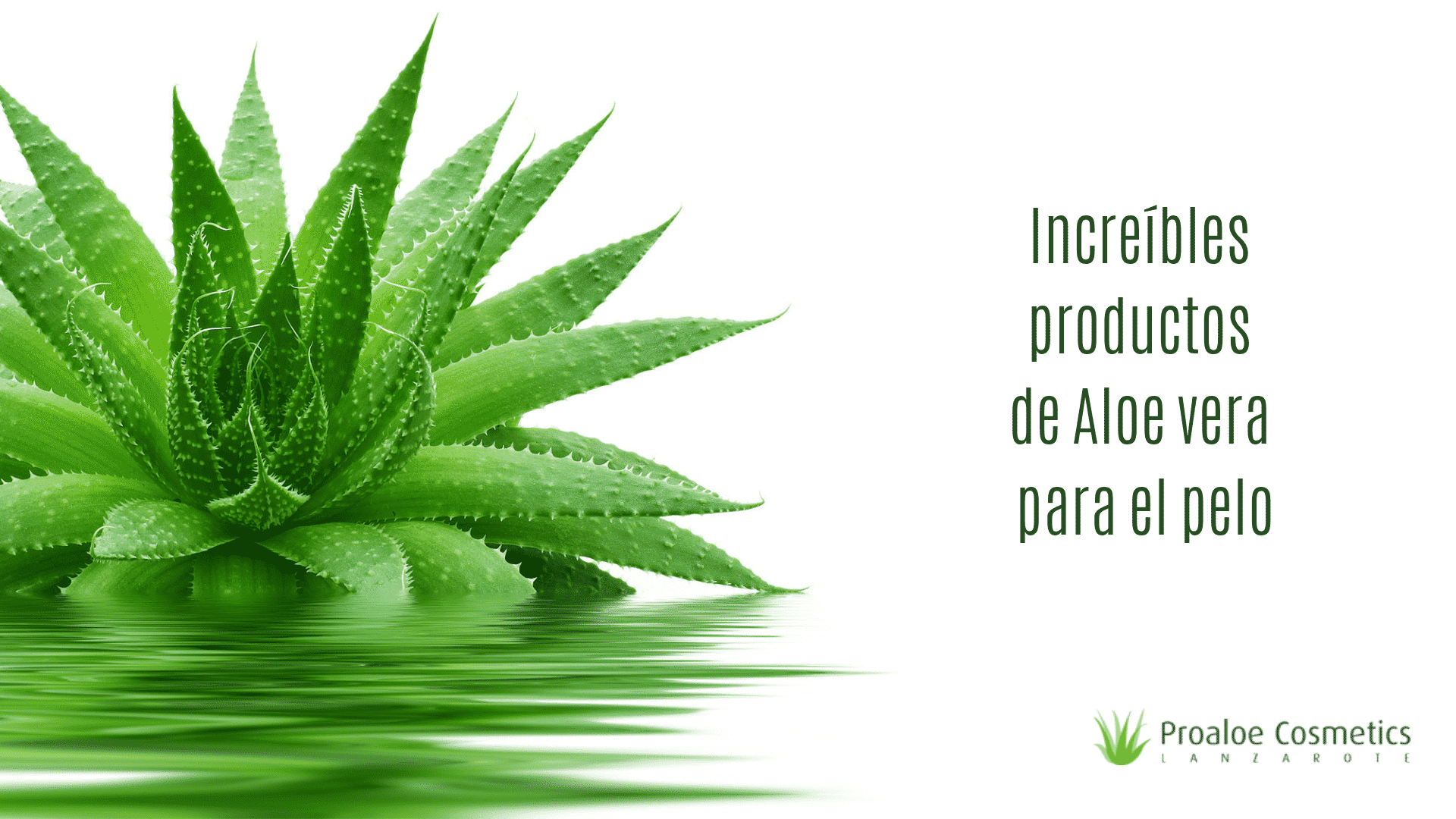 Mascarilla de aloe vera para el cabello graso