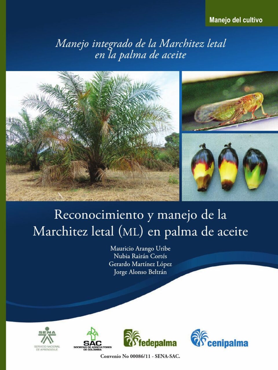 Amarillamiento letal del cocotero control