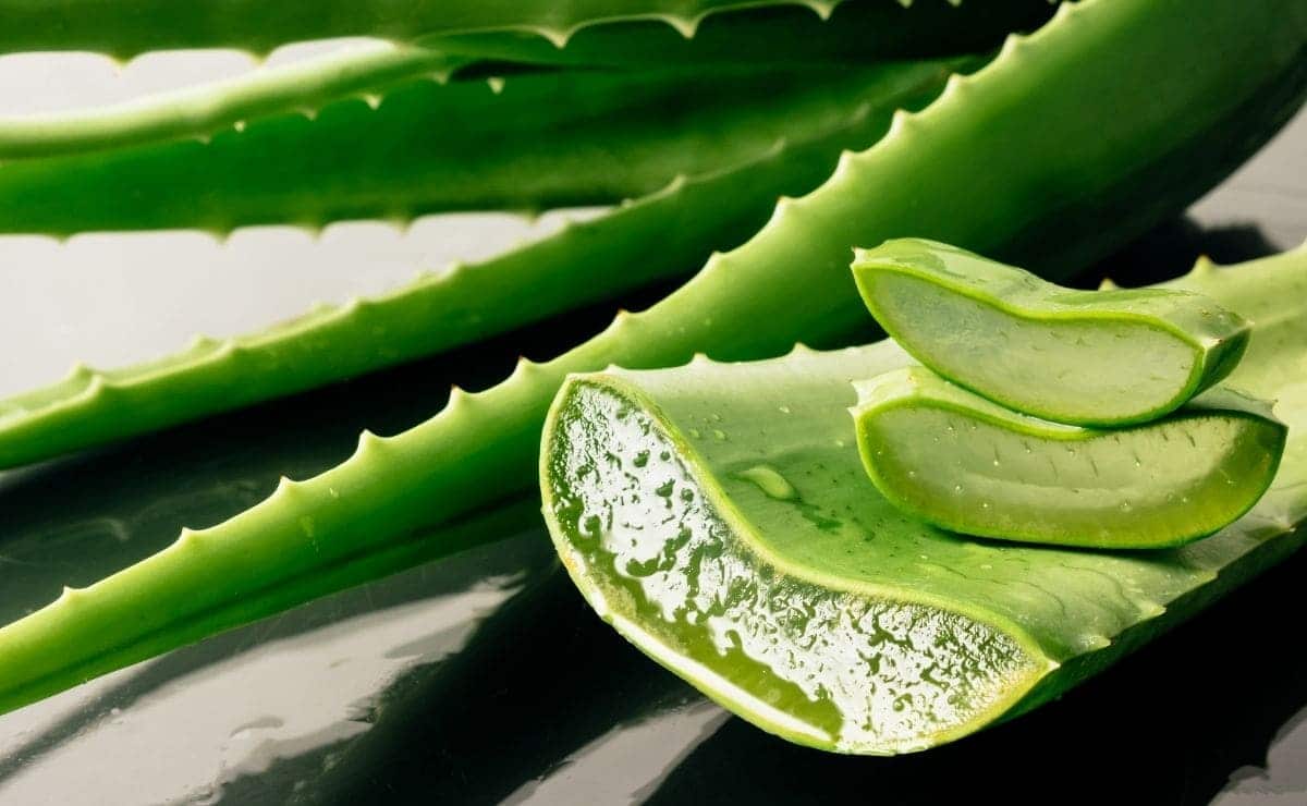 Es bueno tomar aloe vera en ayunas
