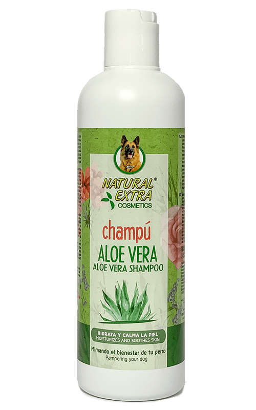 Aloe vera para curar eczemas