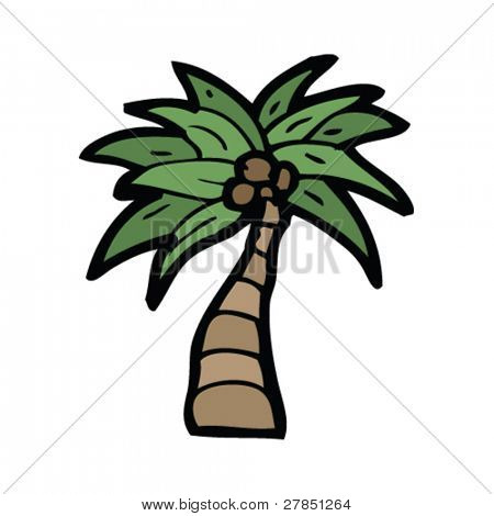 Dibujos del cocotero