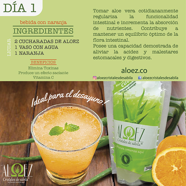 Receta del aloe vera