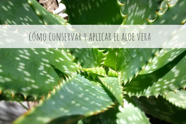 Cuanto tiempo aloe vera en la cara