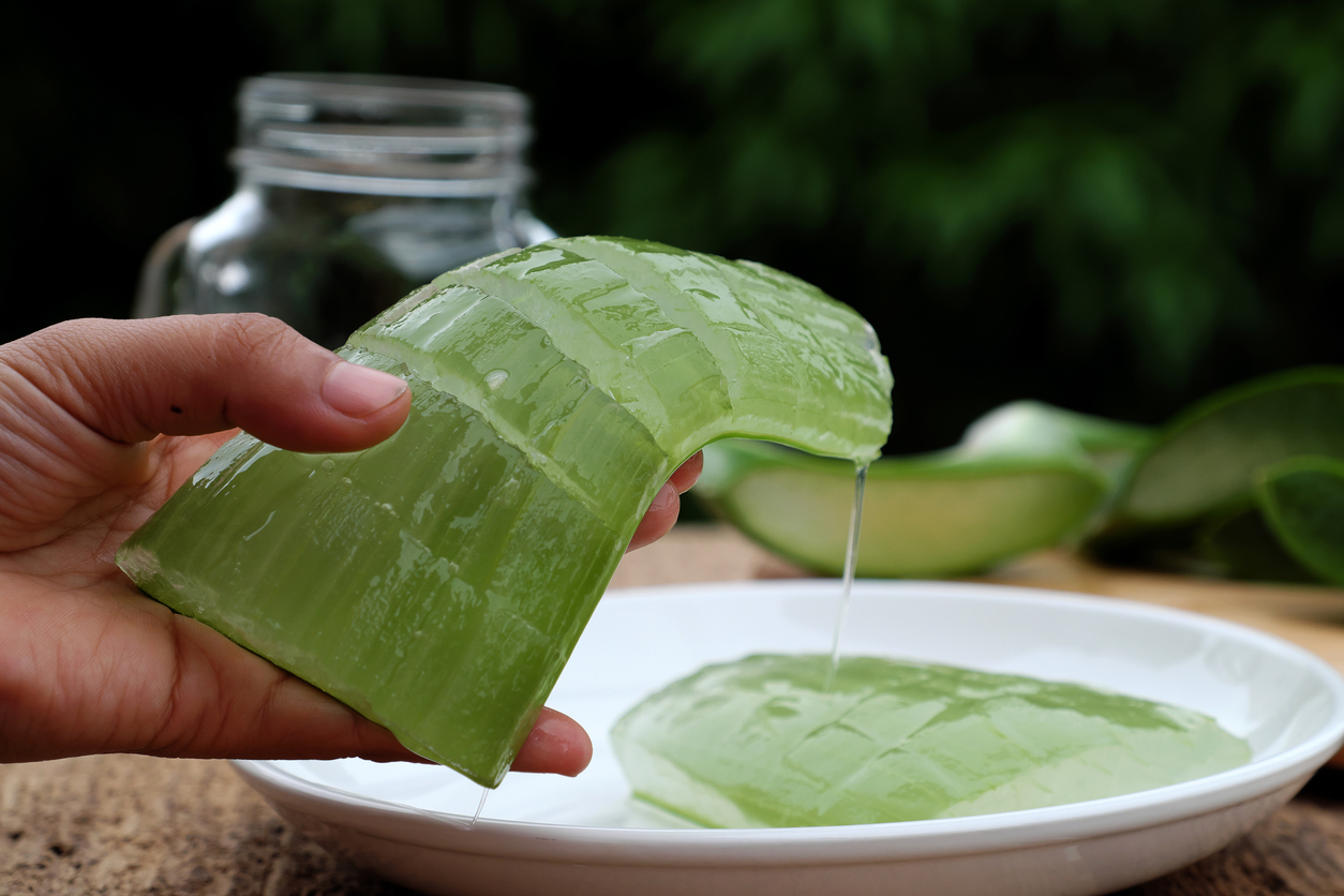 Como preparar mascarilla de aloe vera para las arrugas