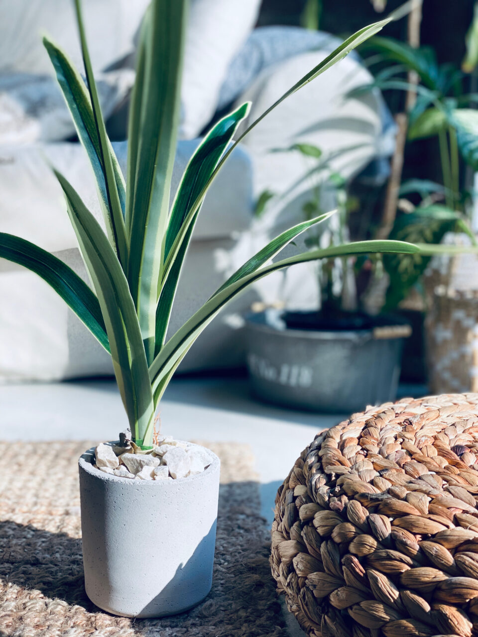 Planta artificial dracena