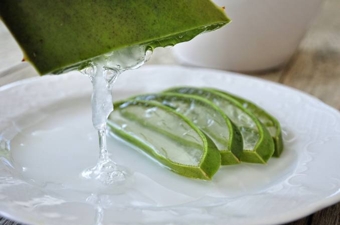 Beneficios del aloe vera para el estomago
