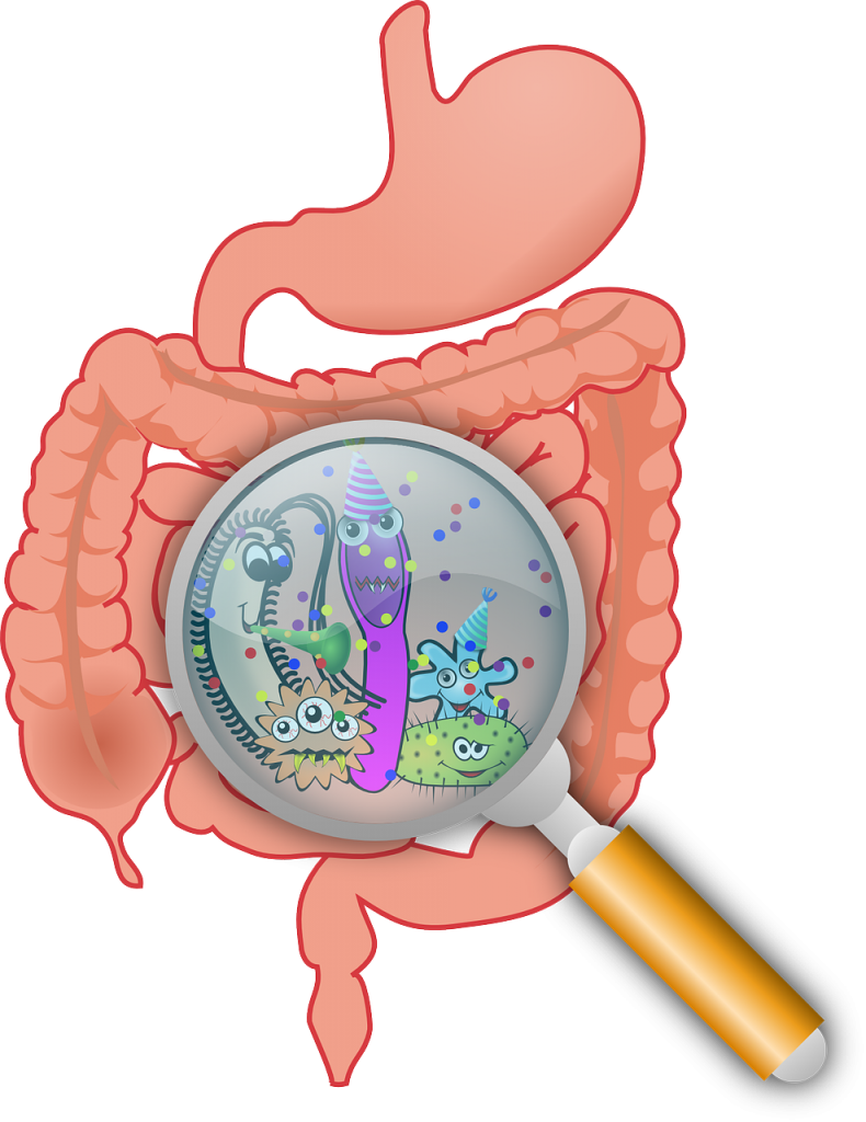 Receta con aloe vera para limpiar el colon