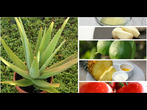 Aloe vera para puntos negros