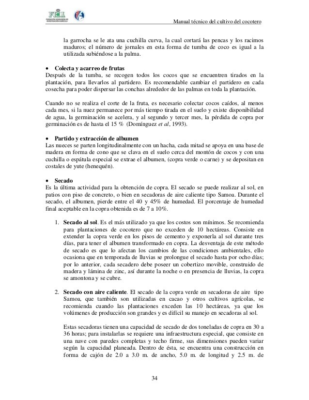 Cocotero tiempo de crecimiento