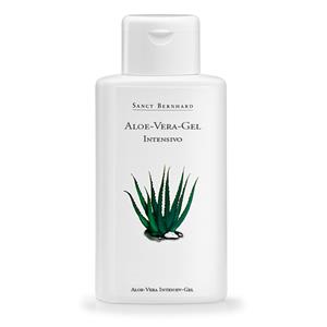 Planta aloe vera para fisuras anales