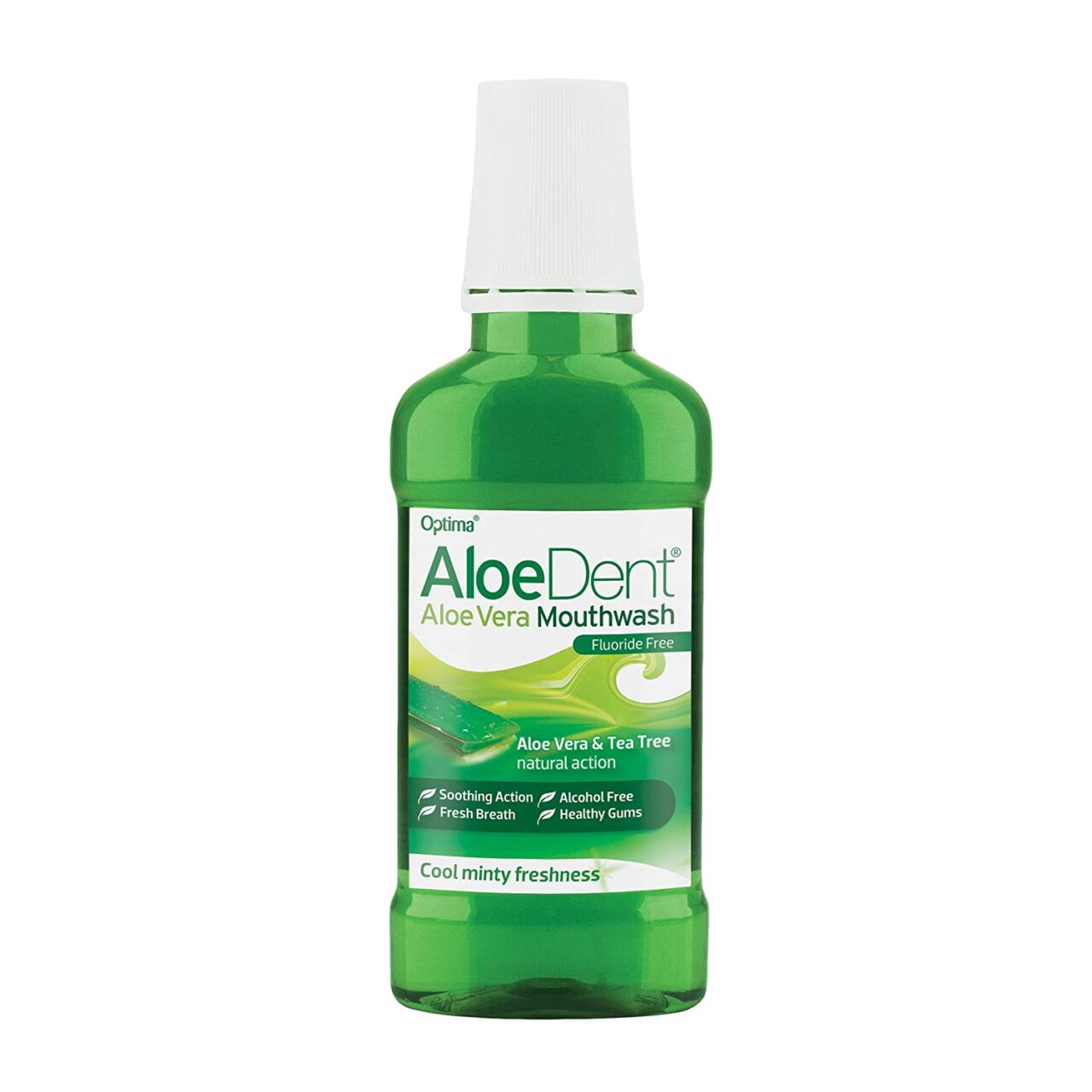 Cuanto dura aloe vera cortado