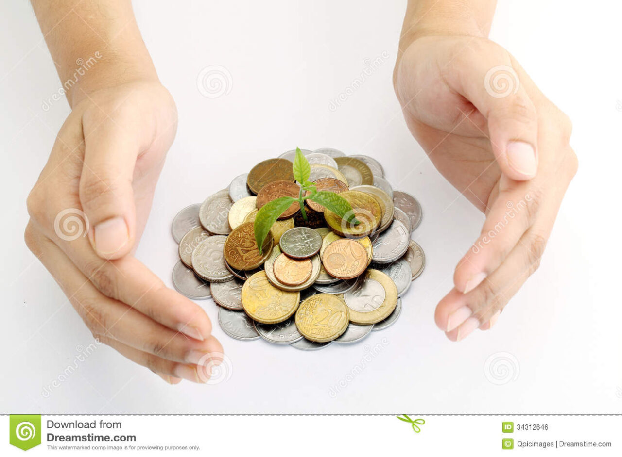 Moneda planta del dinero