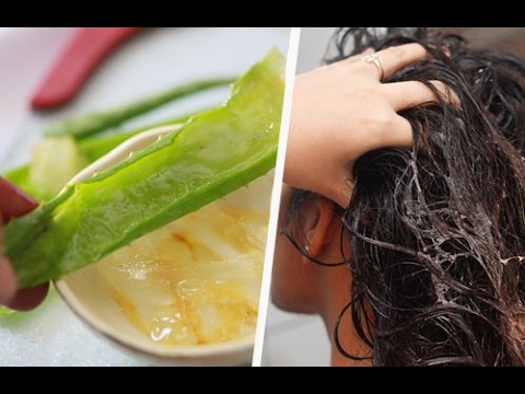 Como poner aloe vera en el pelo