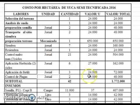 Produccion de yuca en venezuela