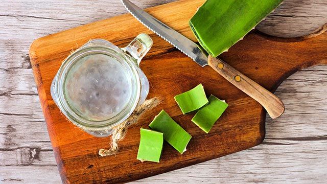 Como preparar gel de aloe vera natural