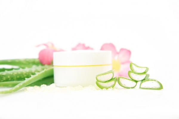 Recetas de belleza con aloe vera