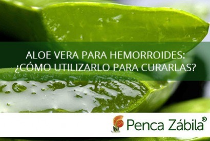 Aloe vera para picazon