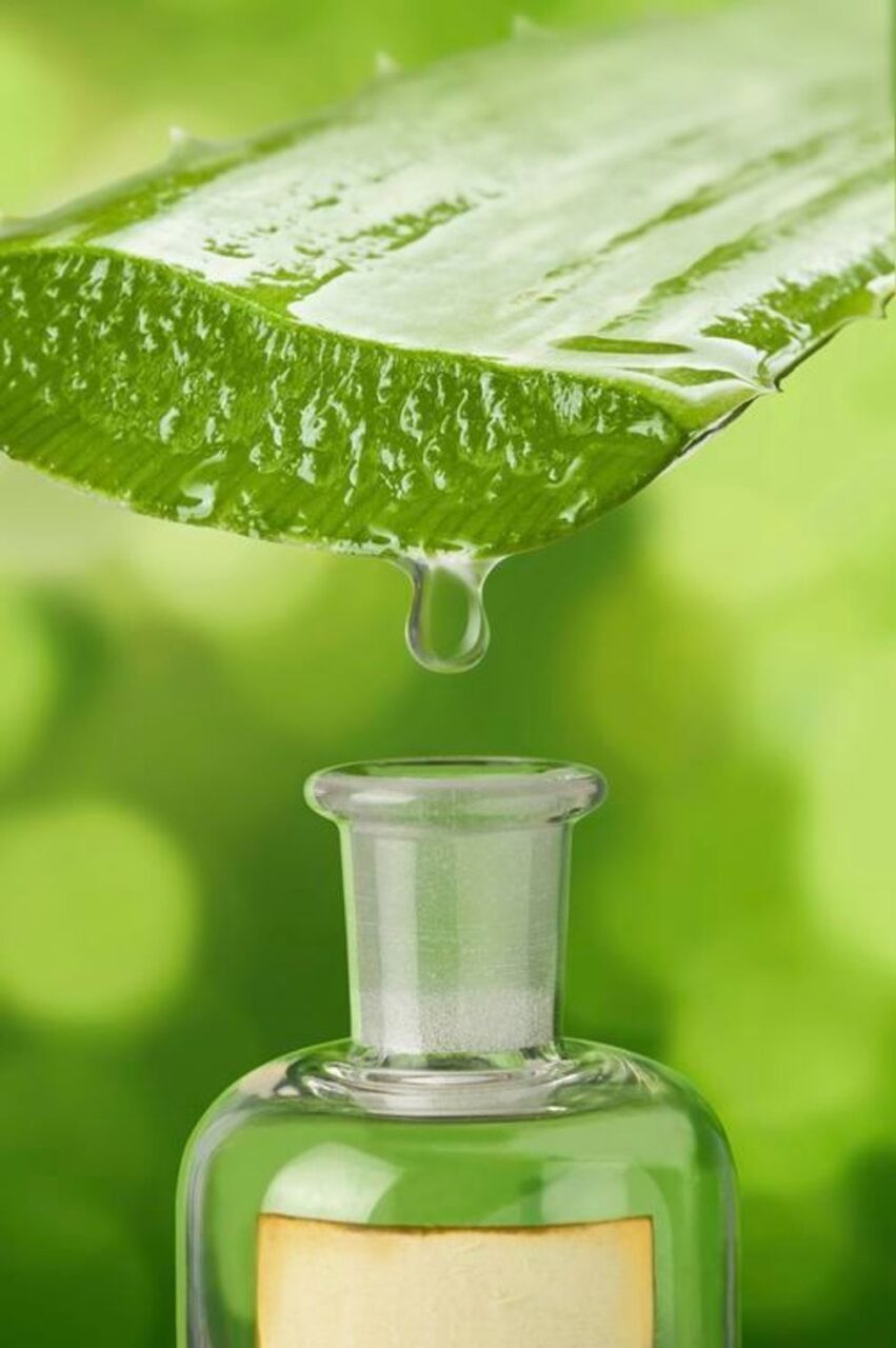 Aloe vera para cicatrizar