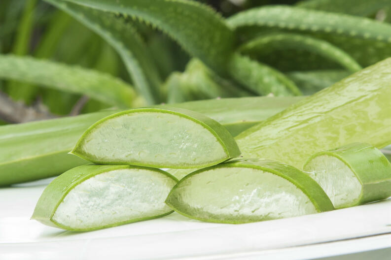Como preparar aloe vera para tomar