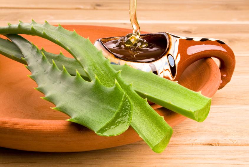 Para q sirve el aloe vera tomado