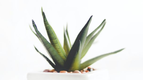 Desmaquillante casero con aloe vera