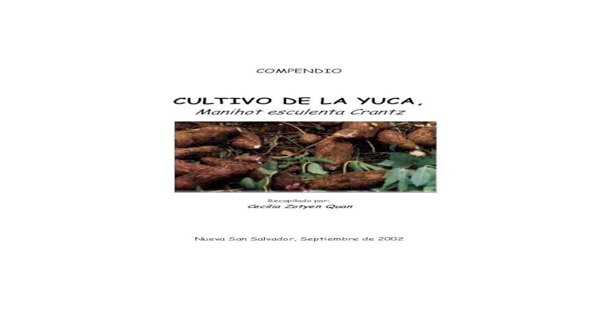 Siembra de yuca en ecuador