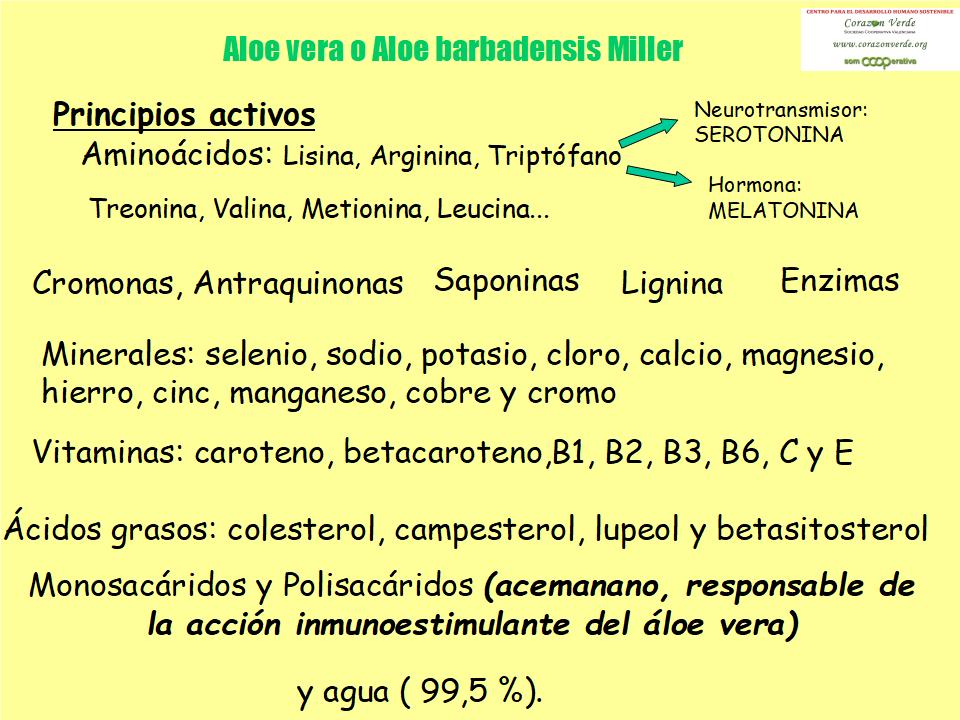 Componentes del aloe vera
