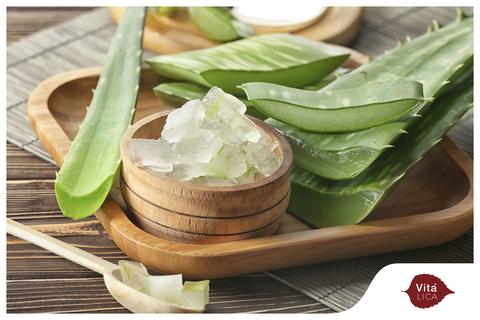 Como usar aloe vera en el cabello