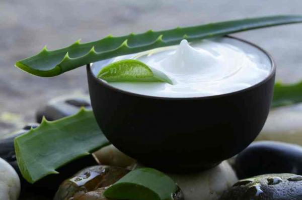 Preparado de aloe vera y miel