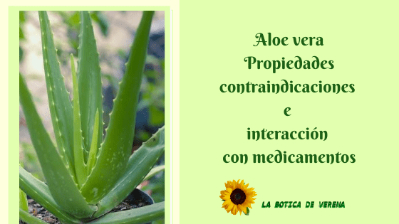 Efectos secundarios aloe vera hbc