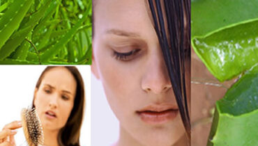 Usos de aloe vera para el cabello