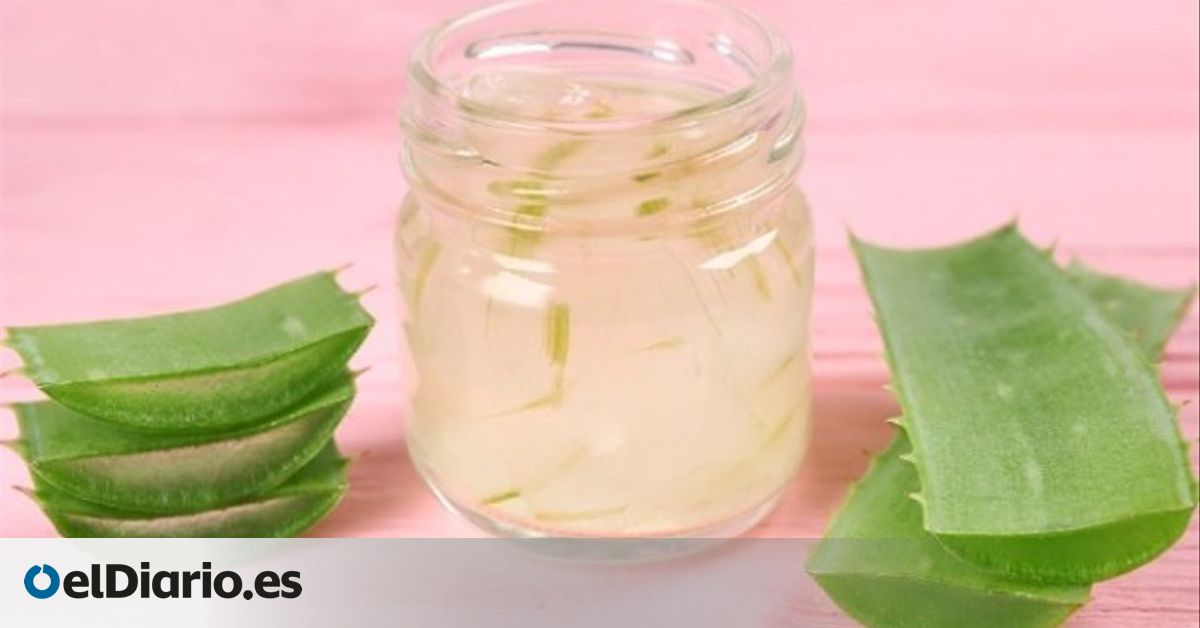 Donde venden gel de aloe vera