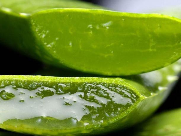 Como hacer crema casera de aloe vera para la cara