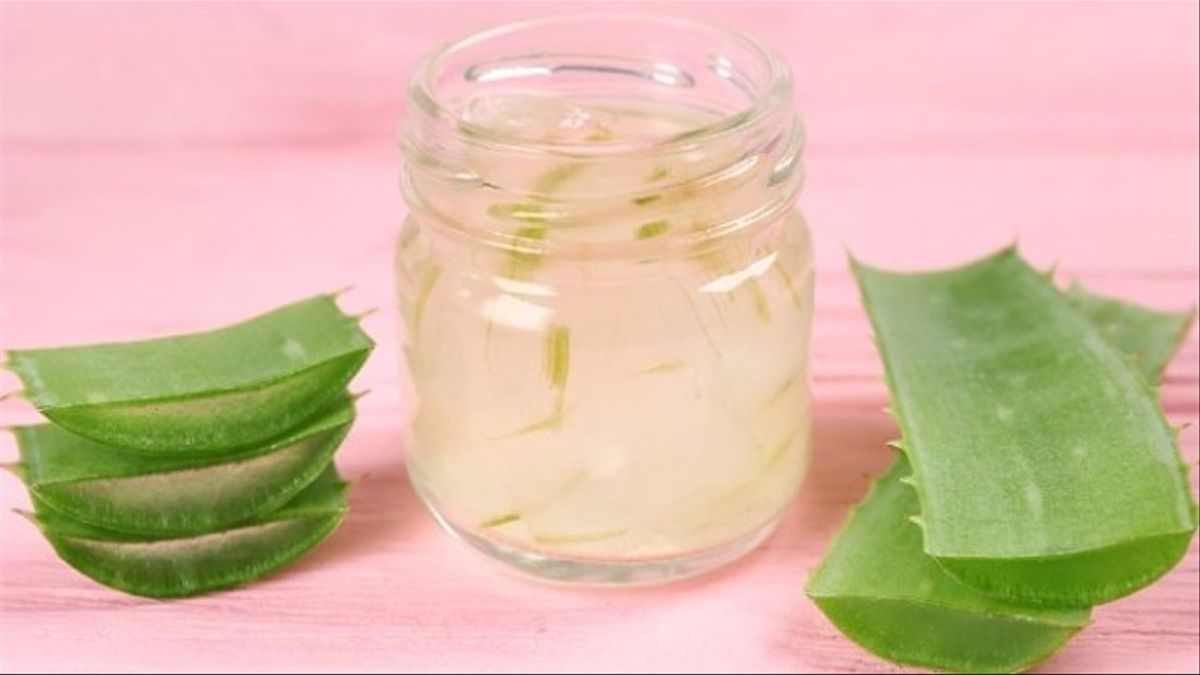 Como hacer crema de aloe vera pura