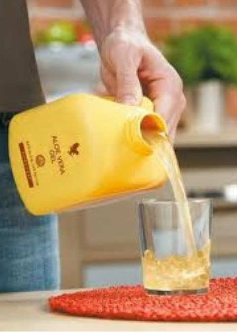 Aloe vera forever living como tomar