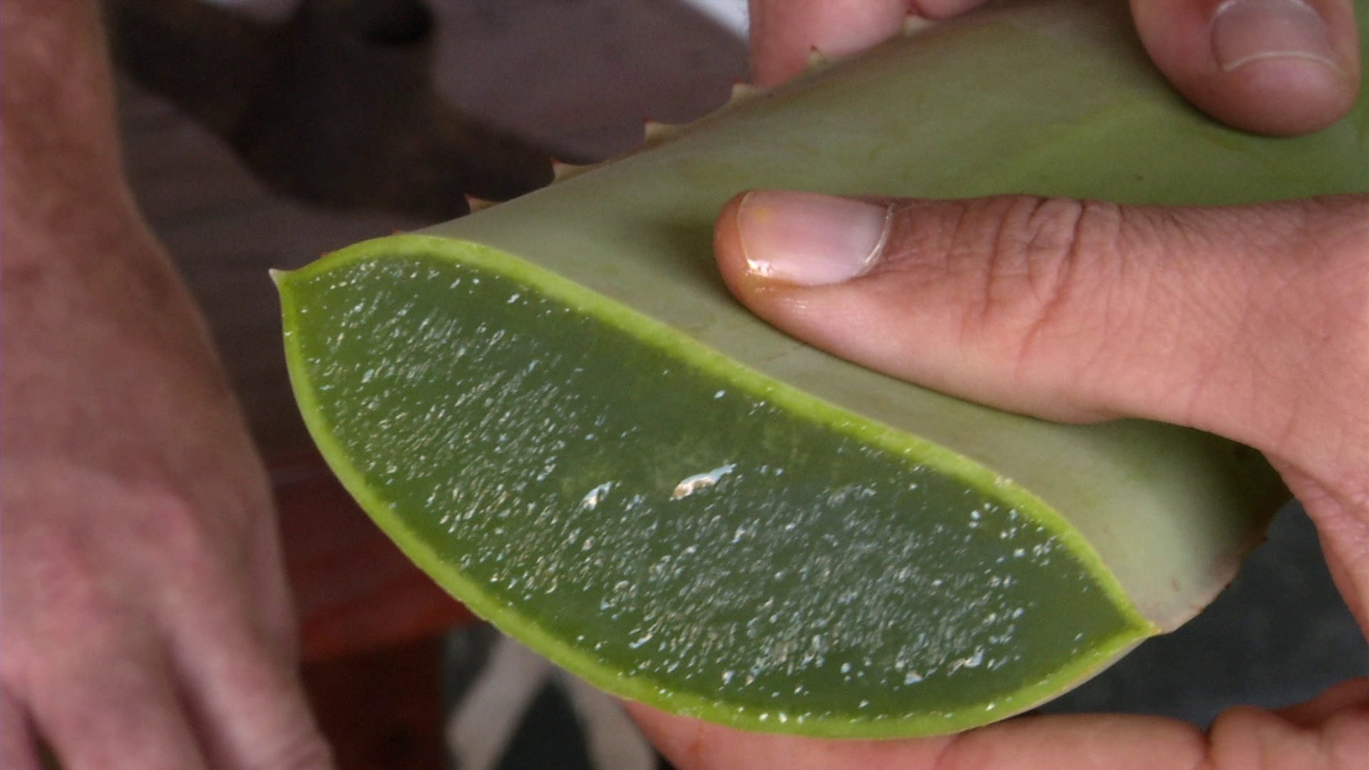 Aloe vera para la cara todos los dias