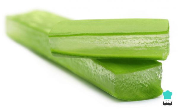 Aloe vera para limpieza intestinal