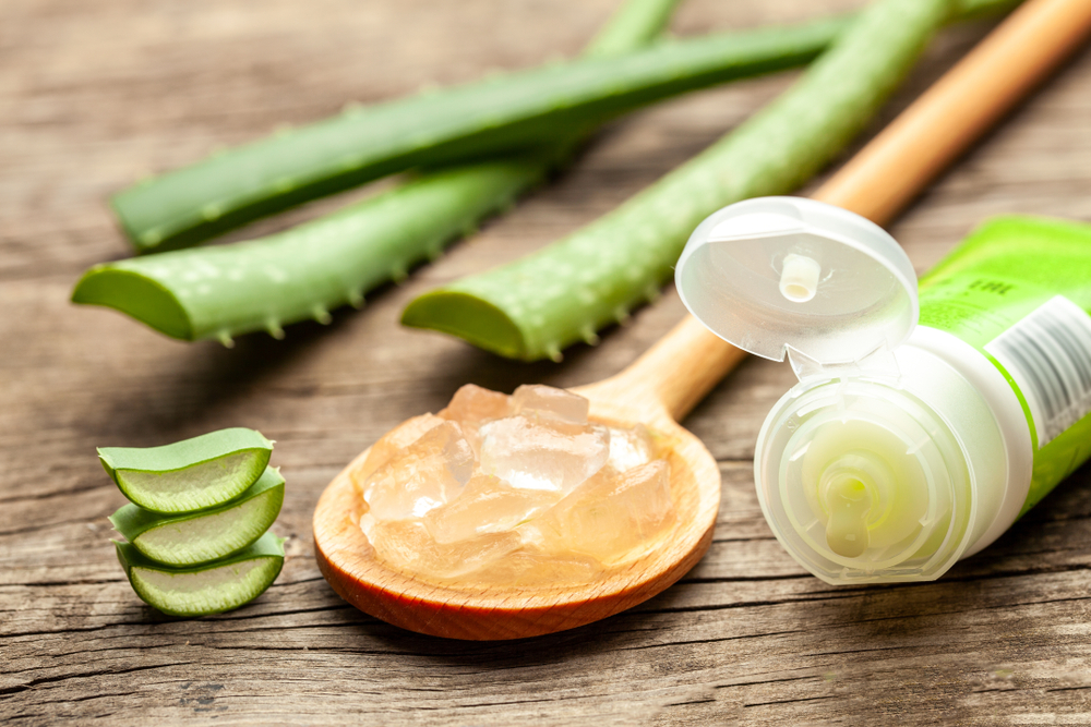 Como usar aloe vera para la caspa