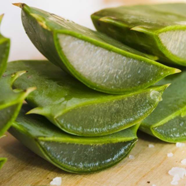 Que se puede hacer con aloe vera