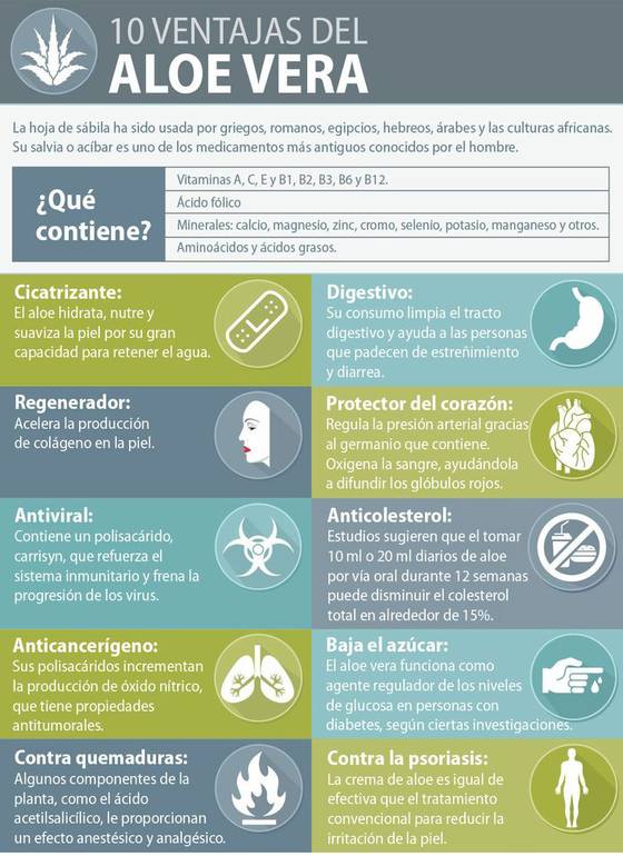 Aloe vera y miel propiedades