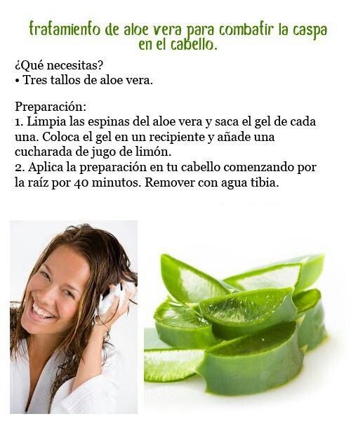 El aloe vera sirve para el crecimiento del pelo