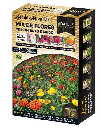Croton floracion y semillas