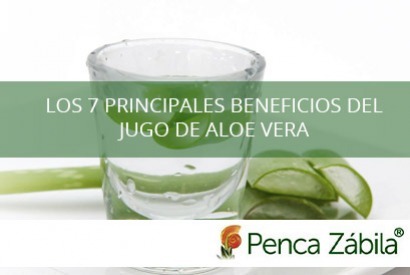 Beneficios de comer aloe vera en ayunas