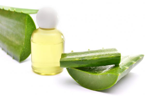 Receta aloe vera y miel